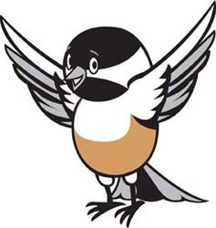 Dee Dee the Chickadee