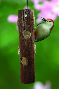 Suet Log Feeders