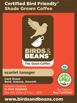 Birds & Beans 