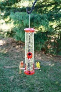 Quick-Clean Seed Tube