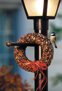 Chickadee on Holiday Seed Wreath
