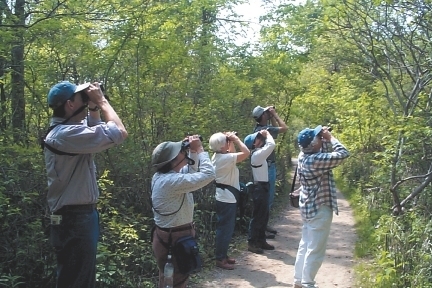Birders enjoying a Bird Hike