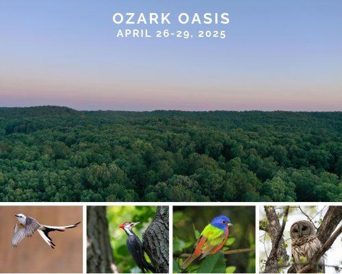 Ozarks Oasis 2025