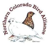 Northern Colorado Bird alliance